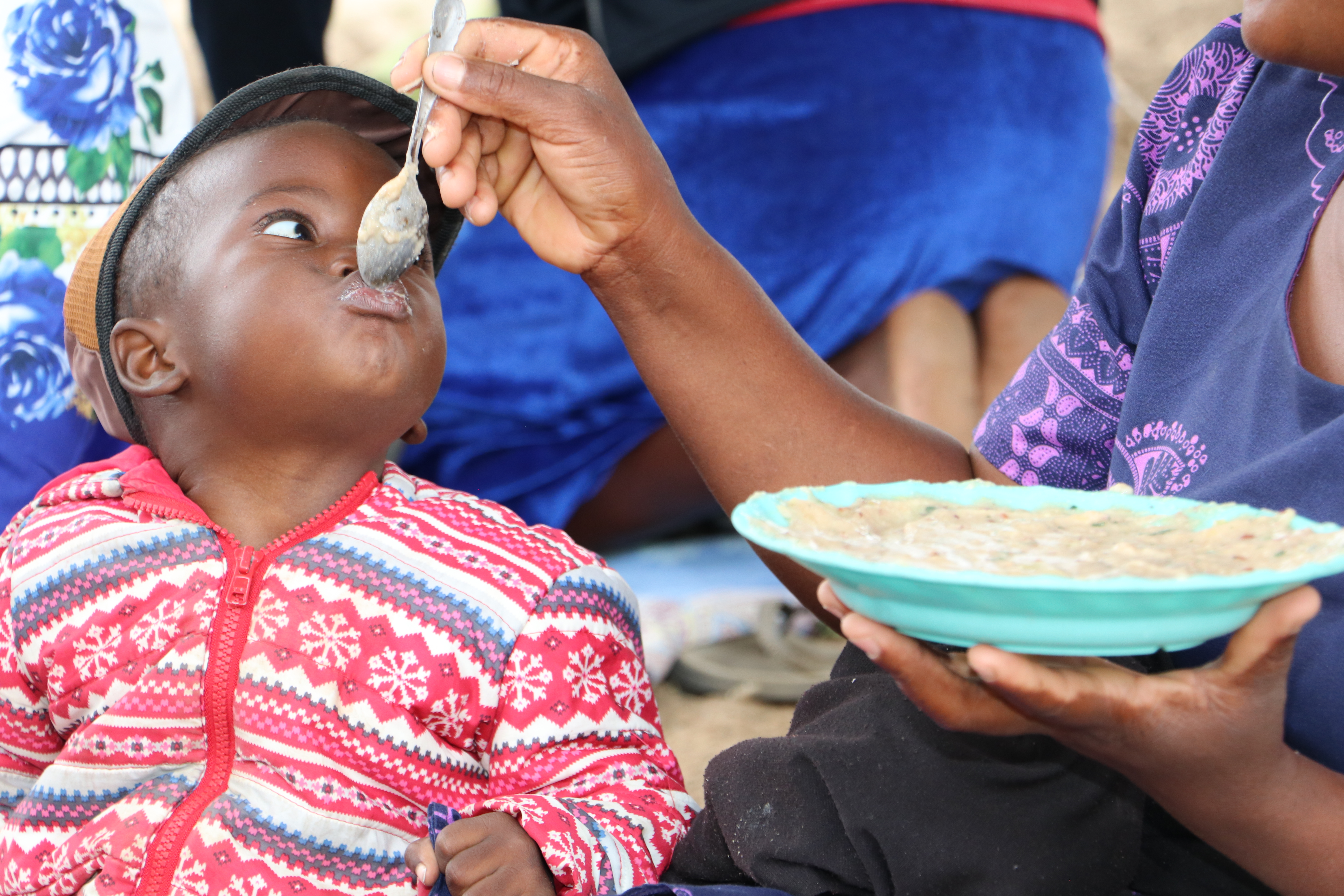 World Vision in collaboration with Musasa and the Government of Zimbabwe is implementing a USAID funded PRONE for Mudzi project in the drought and economically challenged district of Mudzi. The intervention aims to improve the nutritional status of vulnerable pregnant and lactating women and children as well as to increase gender equity and access to protection services for vulnerable populations.

To improve consumption of nutritious foods by children under 5 and pregnant and lactating, the project uses the PD Hearth approach whereby caregivers mobilise locally available food resources to prepare a nutritious porridge. The porridge is prepared using ingredients from 4 food groups namely, starch, animal source, fruits and vegetables and legumes. Some of the commonly used ingredients include sorghum meal, milk, eggs, baobab fruit, pumpkin leaves and peanut butter.