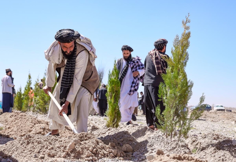 World Vision supports tree-planting programs in north-western Afghanistan, where dried-up salt lakes are part of the dusty terrain.