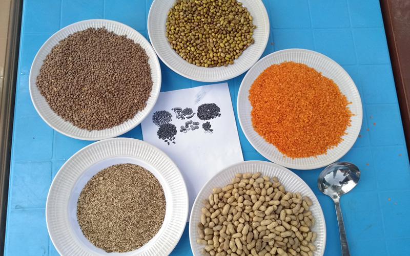 An aerial view of five dishes filled with colourful foods like maize, grains and beans, locally grown in South Sudan.