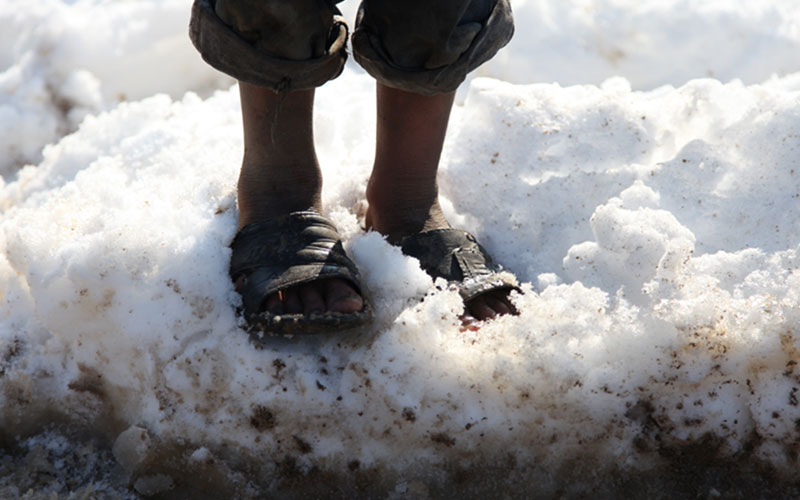 Closeup of a child’s feet standing in the snow, wearing nothing but sandals.