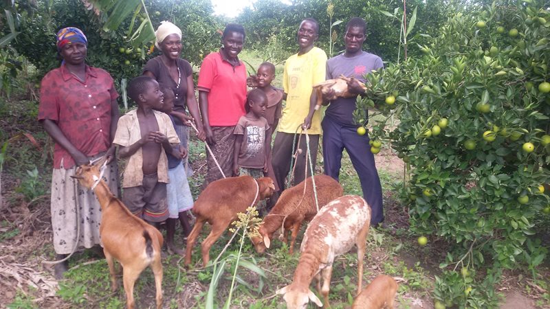 Five adults and three children pose to the picture smiling and holding their goats.