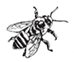 a black and white illustration of a bee