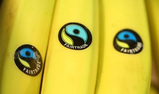 Bananas with the fairtrade logo